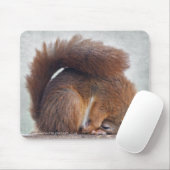 Yoga Squirrel Mousemat Muismat (Met muis)