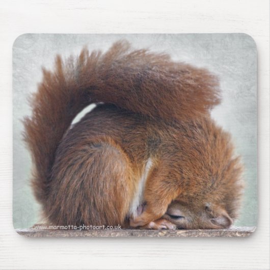 Yoga Squirrel Mousemat Muismat (Voorkant)