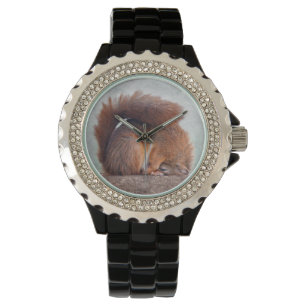 Yoga Squirrel Watch Horloge