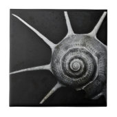 Yoka Shell Tile Tegeltje (Voorkant)