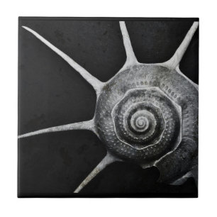 Yoka Shell Tile Tegeltje