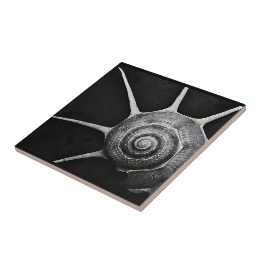 Yoka Shell Tile Tegeltje (Zijkant)