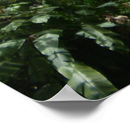 Yokahu Tower Poster (Hoek)