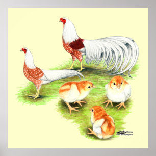 Yokohama Red Shoulder Familie Poster