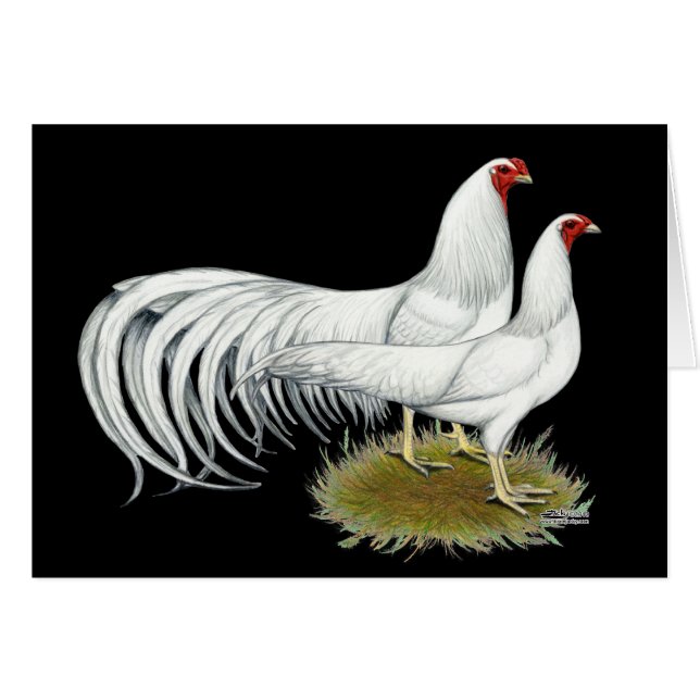 Yokohama's: White Pair (Voorkant Horizontaal)