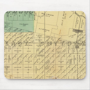 Yolo County 5 Muismat