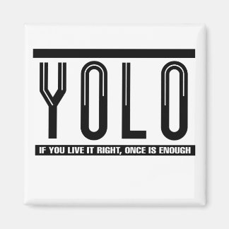 YOLO MAGNEET