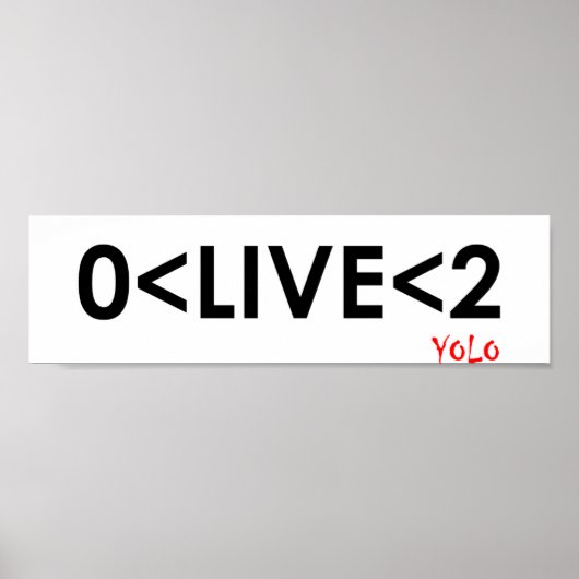 YOLO Wiskunde Funny Poster (Voorkant)