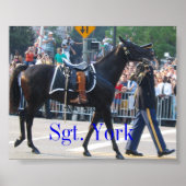 York... het onberispelijke paard poster (Voorkant)
