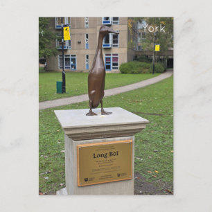 York Long Boi Briefkaart