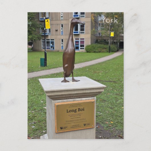 York Long Boi Briefkaart (Voorkant)