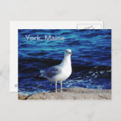 York, Maine Briefkaart (Voorkant / Achterkant)