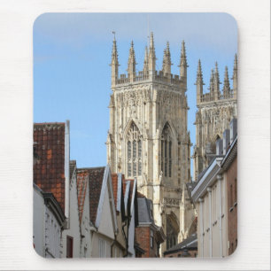 York Minster Muismat