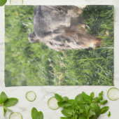 York Terrier Kitchen Towel Theedoek (Gevouwen)