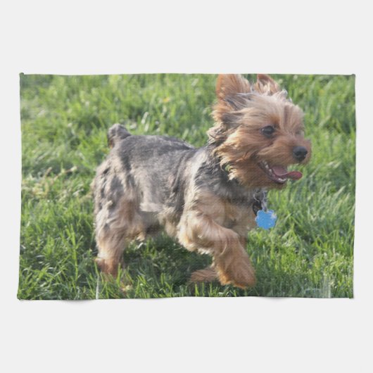 York Terrier Kitchen Towel Theedoek (Horizontaal)