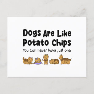 Yorki Dogs zijn net als aardappelchips die je nooi Briefkaart