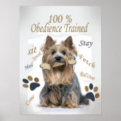 Yorkie 100 % Obedience Formé Poster (Devant)