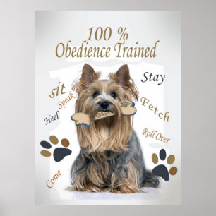 Yorkie 100 % Obedience Formé Poster