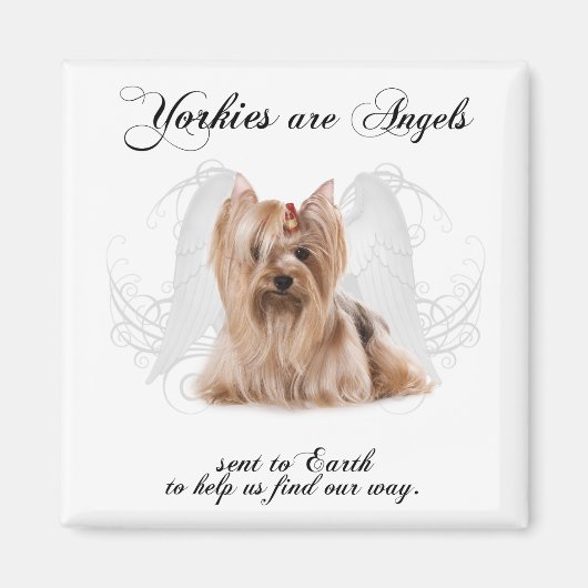 Yorkie Angel Magneet (Voorkant)