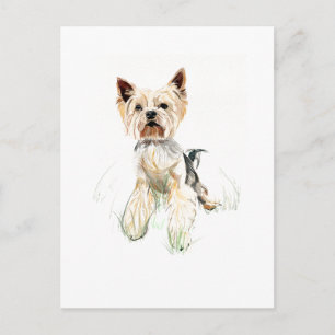 Yorkie Ansichtkaart – Yorkshire Terrier, Hondeneig Briefkaart