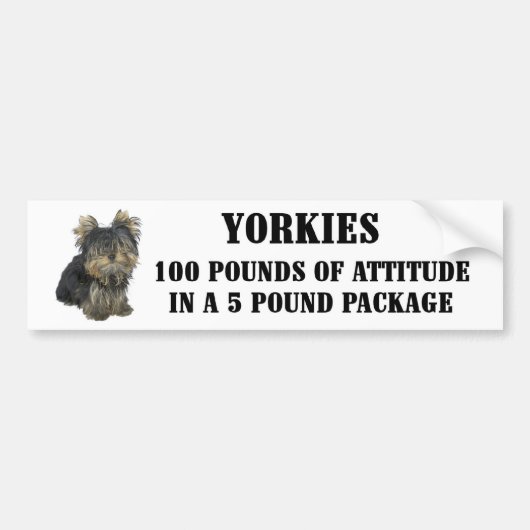 Yorkie Attitude Bumpersticker (Voorkant)
