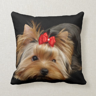 Yorkie avec le coussin rouge d'arc