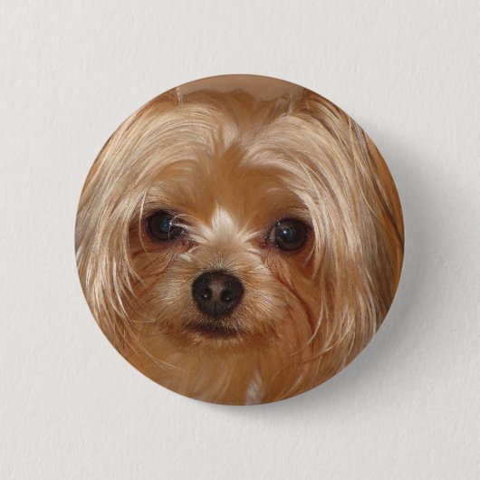Yorkie Botton Ronde Button 5,7 Cm (Voorkant)