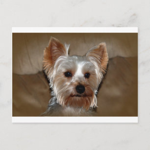 Yorkie Briefkaart