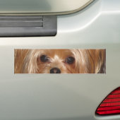 Yorkie Bumpersticker (Op auto)