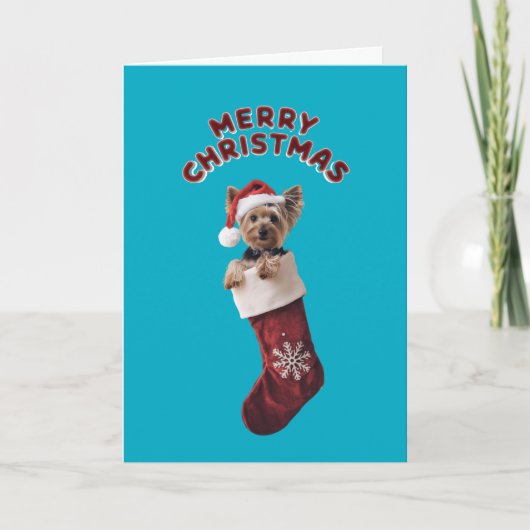 Yorkie Christmas Stocking Kaart (Voorkant)