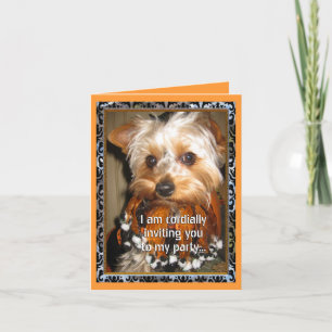 Yorkie Cordial Invitation
