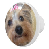 Yorkie Custom Ceramic Knob. Keramische Knop (Rechts)