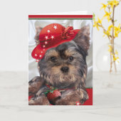 Yorkie dans les cartes rouges de casquette (Fleur jaune)