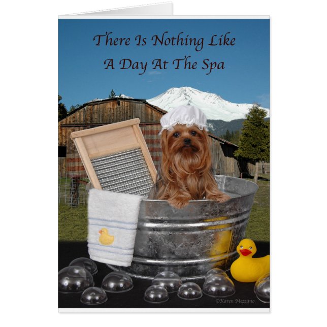 Yorkie Day in Spa (Voorkant)