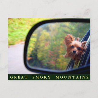 Yorkie Dog - Autumn Ride - Grote Mokerbergen Briefkaart