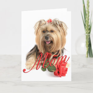 Yorkie en het rood namen toe (MAMMA) Kaart