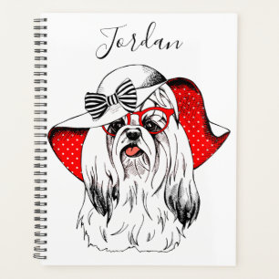 Yorkie Fashion Shoot   Ajouter Votre Nom