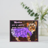Yorkie in het Briefkaart Ruffles (Staand voorkant)