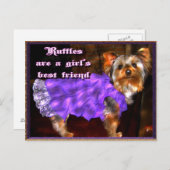 Yorkie in het Briefkaart Ruffles (Voorkant / Achterkant)