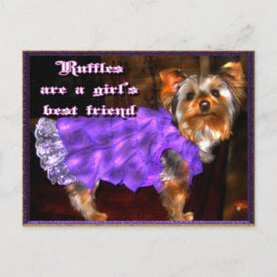 Yorkie in het Briefkaart Ruffles