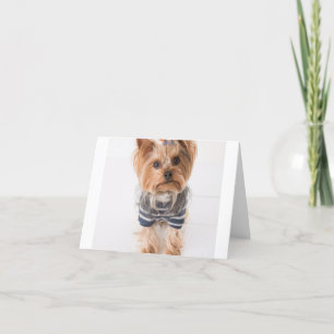 yorkie-in-sweater bedankkaart