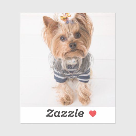 yorkie-in-sweater sticker (Vel)