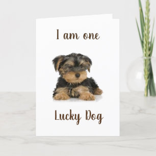 "YORKIE IS ÉÉN LUCKY DOG" BIRTHDAY WISHEERT KAART