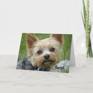 Yorkie Kaart