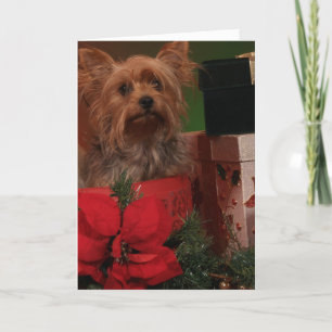 Yorkie-kerstkaarten Feestdagen Kaart
