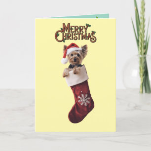 Yorkie Kerstmis Bedankkaart