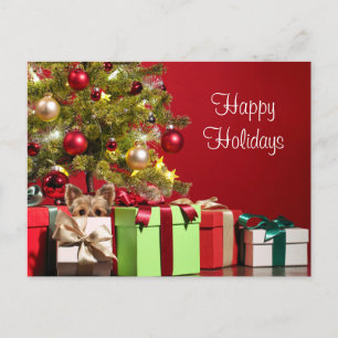 Yorkie Kerstmis Briefkaart