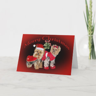 Yorkie Kerstmis Mistletoe kaarten