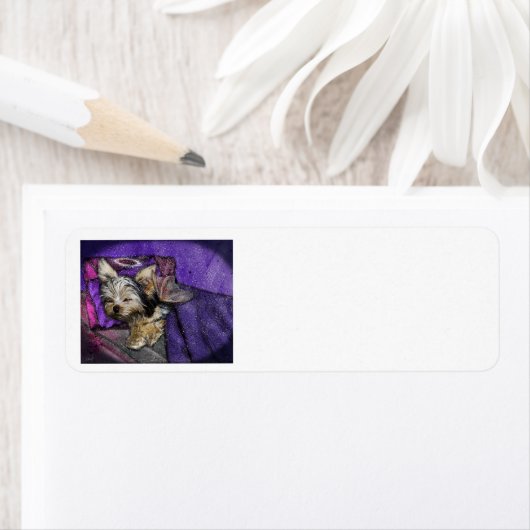 Yorkie Loss Remembrance Return Address Label (Insitu)