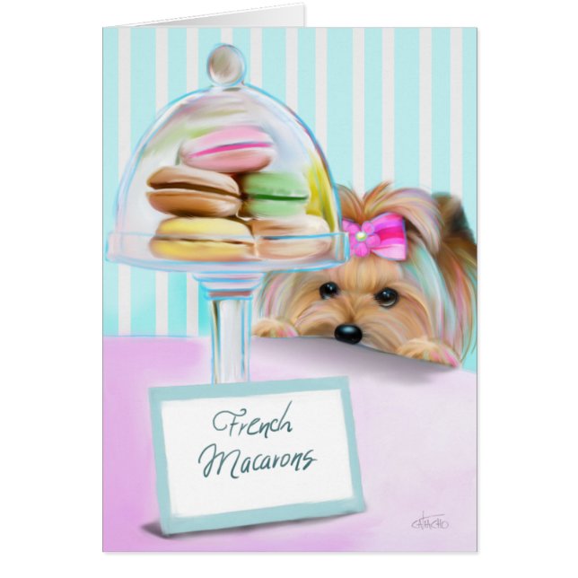 Yorkie Macarons (Devant)